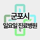 산본두성프라자(두성빌딩) | 군포시 주말 일요일 진료병원 리스트 (산본동, 금정동, 도마교동, 당동)