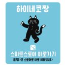 하이네코짱