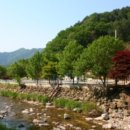 포시즌캠핑장 이미지