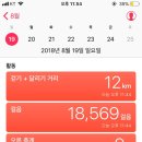 오늘의 경주 이미지