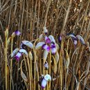 당신은 혼자가 아니 이미지