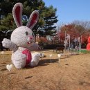 장자호수생태공원 이미지