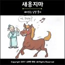 인생은 새옹지마 뜻 의미 이미지