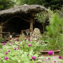 남도뜨락 이미지