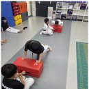 도마효태권도장 이미지