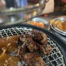 신마포갈매기하소점