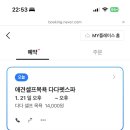 다다펫스파 이미지