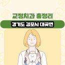 대곶치과의원 | 경기도 김포시 대곶면 교정치과 총정리