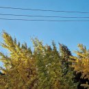 중동초교 이미지