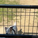 니니스테이 이미지