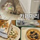 코너동물병원 | 대구 대봉동 새벽까지 하는 한옥 카페마리, 반려동물 동반 가능한 따뜻한 스콘 맛집 후기(주차장, 화장실)