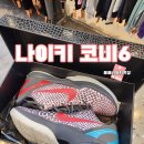 헐리우드안경 | 나이키 농구화 추천 코비6프로트로3D헐리우드 구매후기