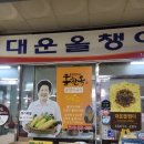 대운올챙이