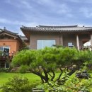 에코그린 이미지