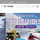 내일 2/1~2 웰리힐리파크패키지권 급 판매해봅니다. 이미지