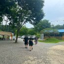 하방소 포레스트 이미지