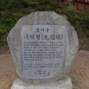 시내꽃마을