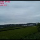 판정천 이미지