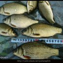 아화2리 이미지