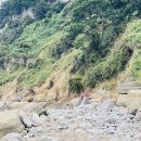 산지고고