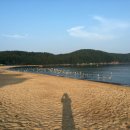 대명오토 이미지