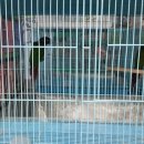 인천조류원 이미지