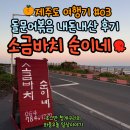 순이네 | 제주도 동쪽 맛집 소금바치 순이네, 돌문어볶음 내돈내산 후기!