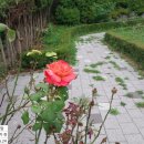 풍호축구장 이미지