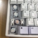24년 8월의 일상 조각 모음📸
