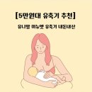 유니맘 | [모유수유 필수템] &#34;유니맘 미뉴엣 유축기&#34; 내돈내산 솔직후기