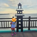 놀이터 | 화성 궁평항 물놀이터 후기｜샤워장·온수까지 이용해 본 8월 방문기