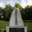 홍도야우지마라 이미지