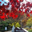 계룡산둘레길 수통골지구 화산계곡 단풍 🍁 힐링 산책 이미지