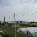 사산축산 이미지