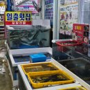 주문진 수산횟집 | 주문진수산시장대게 &#39;일출횟집&#39; 대게회세트 포장 후기