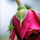 수남경로당 이미지