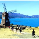 바람의 언덕 이미지