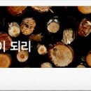 너애개만 이미지