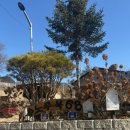 노루목 68 이미지