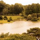 난쟁이 가든 (Dwarf Garden)에도 싱그러운 여름이 이미지