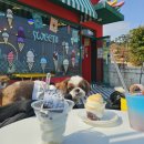 똥강아지 | 해운대 해변열차 코스, 오션뷰+애견동반 카페 '스위티 똥강아지'방문후기