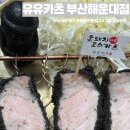 부산 해운대 돈까스 맛집 유유카츠 다녀온 후기