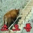 한우사랑정육식당 이미지
