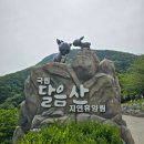 기장군청소년수련관 | 봄의 달음산 ... 푸르름 가득한 부산 달음산