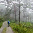 외씨버선길 이미지