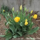 나비산기사식당 이미지