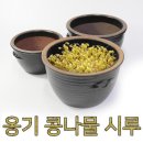 전통옹기 이미지