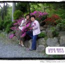 양월5리 이미지