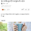 종이 티백도 끓이면 미세 플라스틱 나온다 이미지