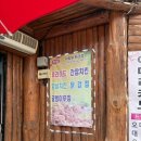 제천하림 | 제천맛집 열린마당호프 하림치킨 방문기록